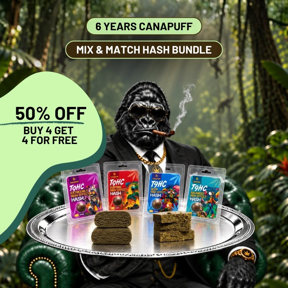 50% Off: Birthday Hash Party