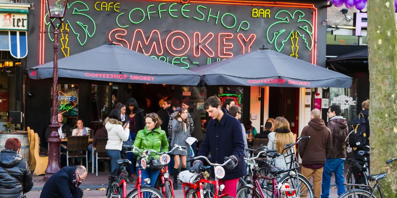 A legjobb coffeeshopok Amszterdamban 2024-ben: Legjobb helyek Cannabis-Canapuff-hoz