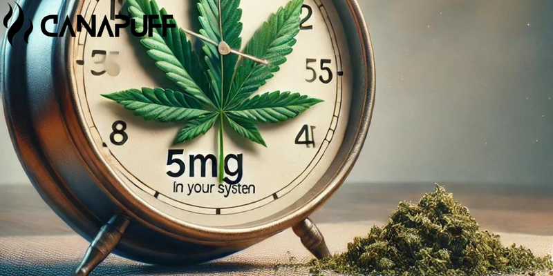 How Long Does 5mg of THC Trip Last ?-Canapuff