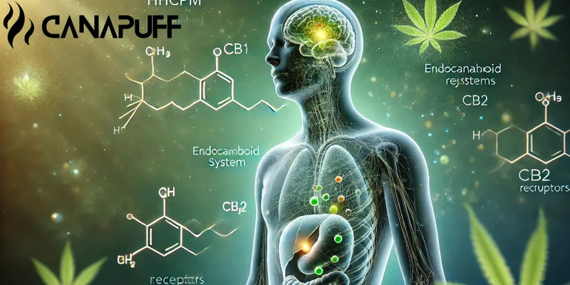 HHCpM: What Is It, Effects, and Legal Status Worldwide-Canapuff