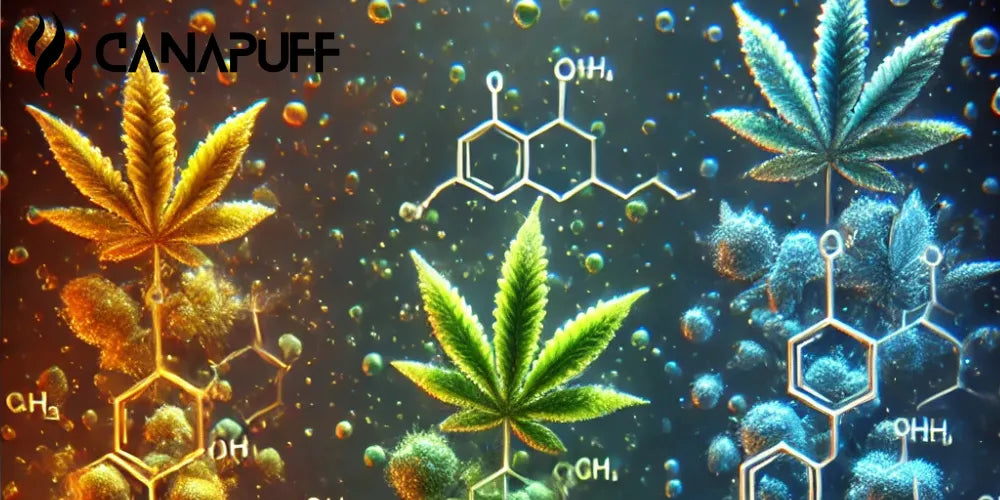 HHC vs HHCO vs HHCP: Potency, Effects, and Chemistry-Canapuff