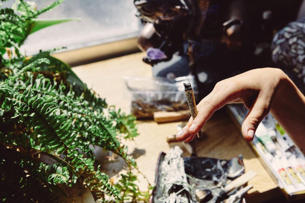 THCA: Niepsychoaktywny kannabinoid z korzyściami zdrowotnymi-Canapuff