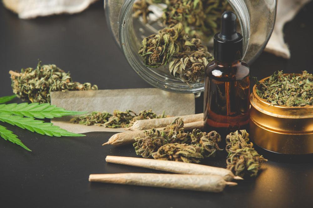 Purple Punch Weed Strain: Sweet Relaxation Awaits You!-Canapuff