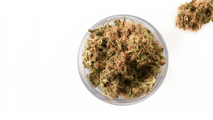 CB9 the new Cannabinoid: Effects and Experiences
