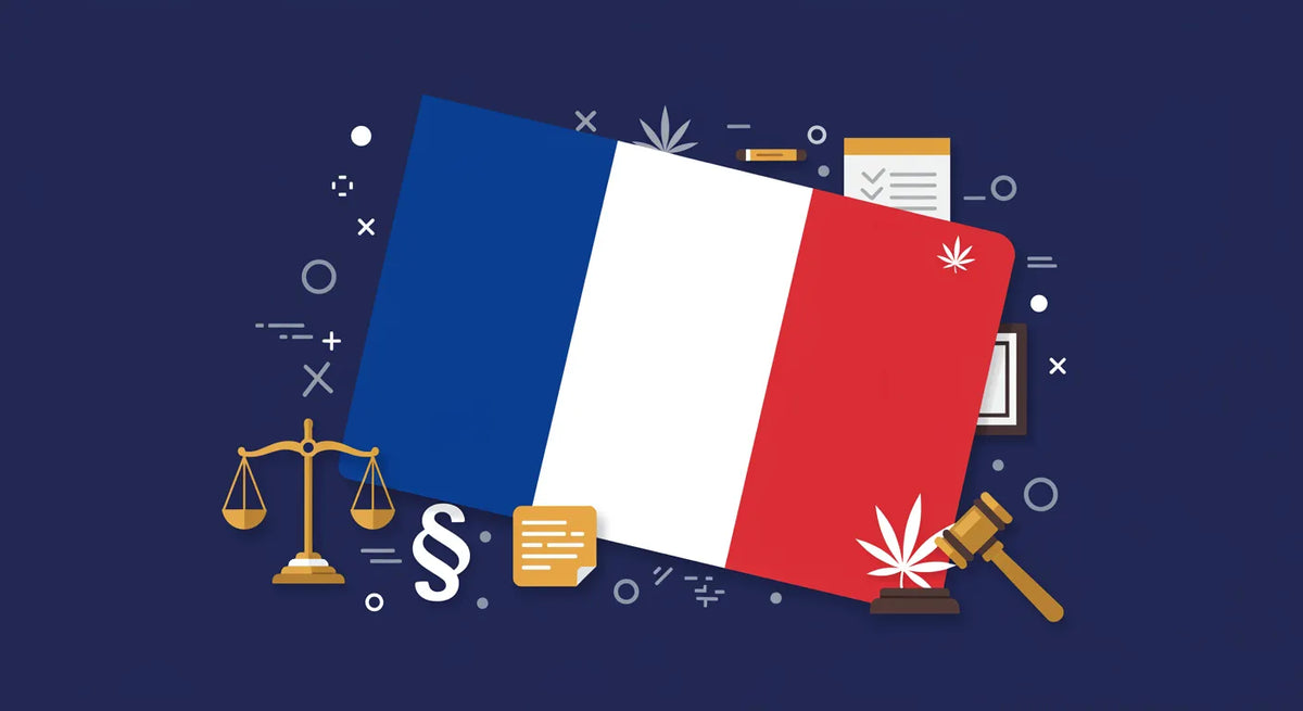 Francia zászló JOGI elemekkel rajta