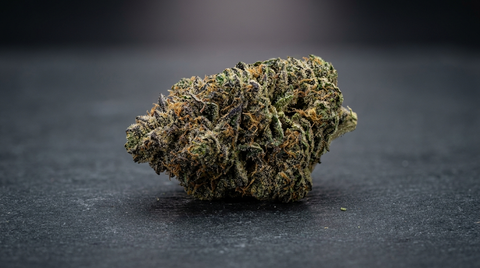 Guide Gorilla Zkittlez Strain : effets, terpènes et génétique