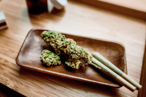 What Is THC and How Does It Affect the Human Body?