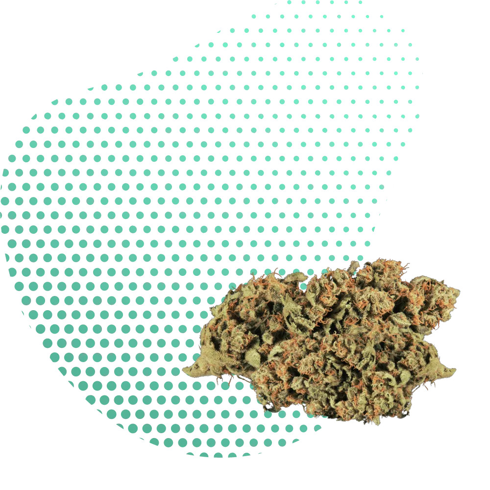 H4CBD 🌿 | Calitate de încredere și relaxare | Canapuff