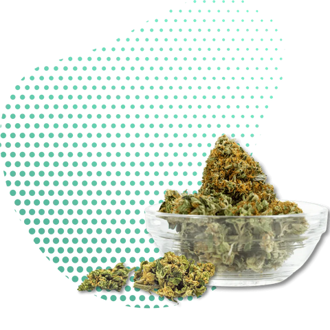10-OH-HHC Květy