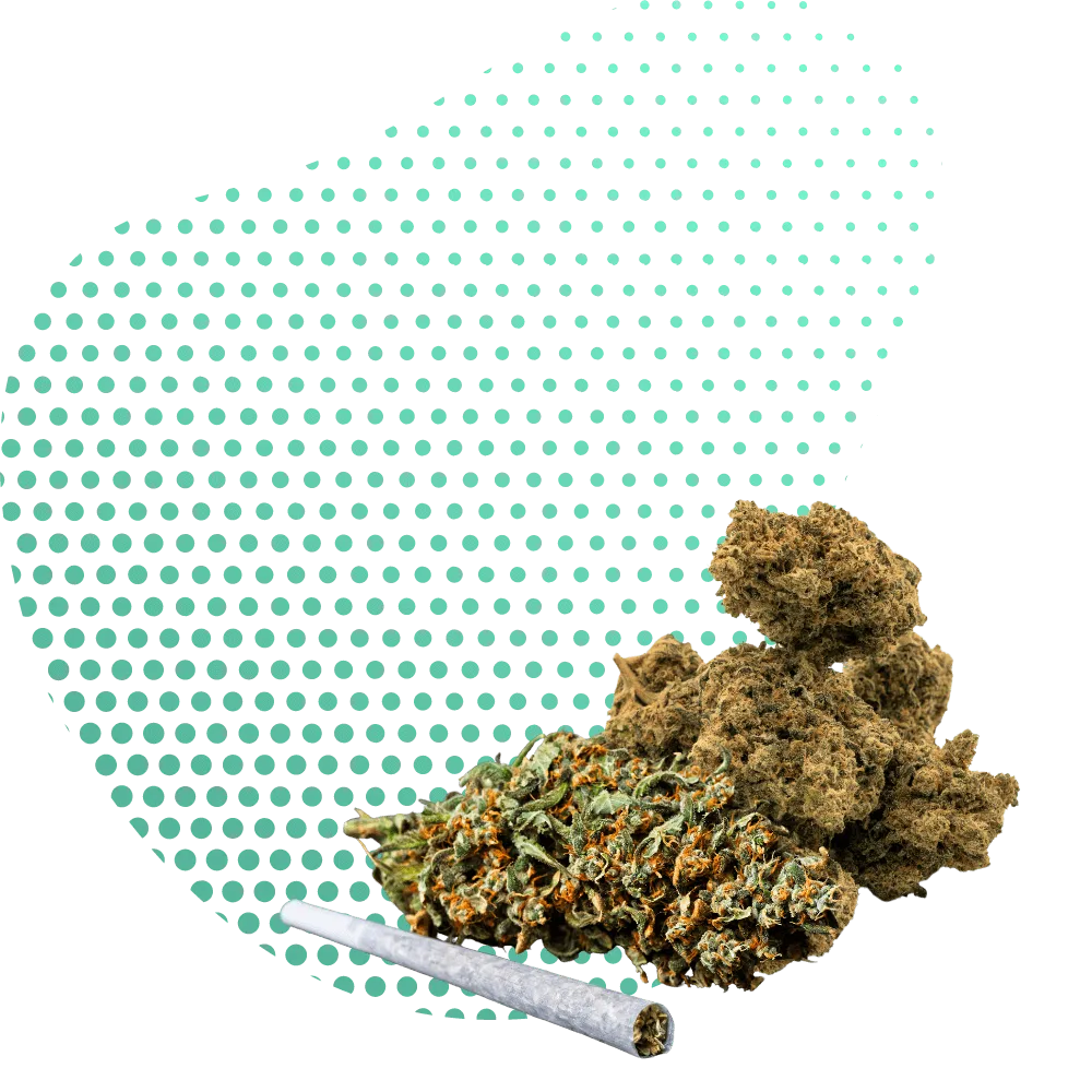 THP420 Fiori-Canapuff