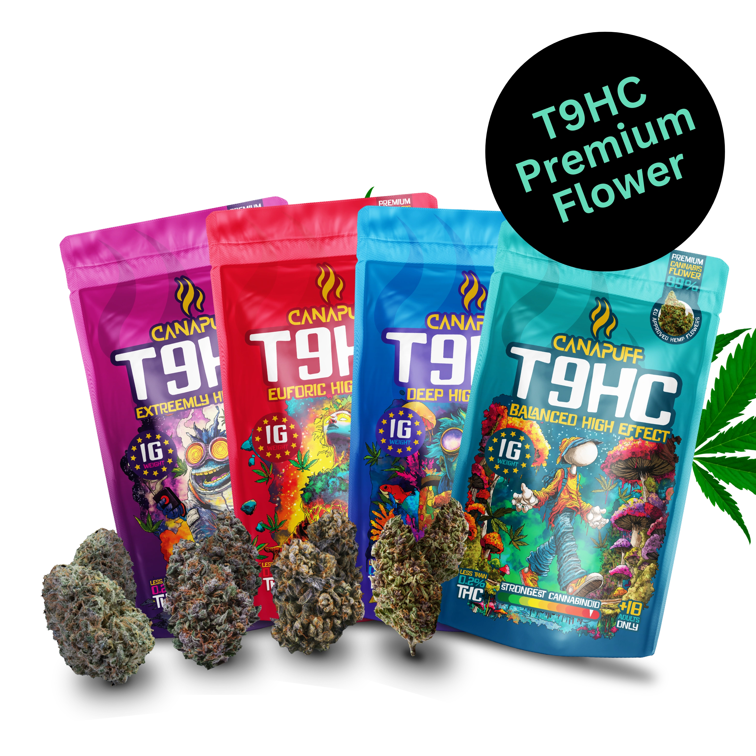 Πακέτο T9HC Flower