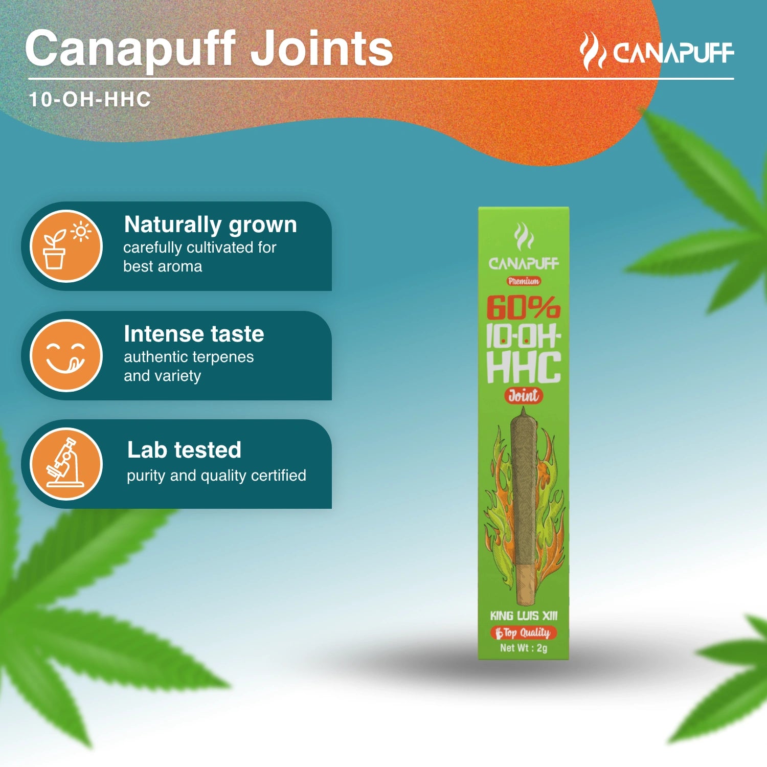 King Luis XIII 60% 10-OH-HHC Joint 2g - Canapuff