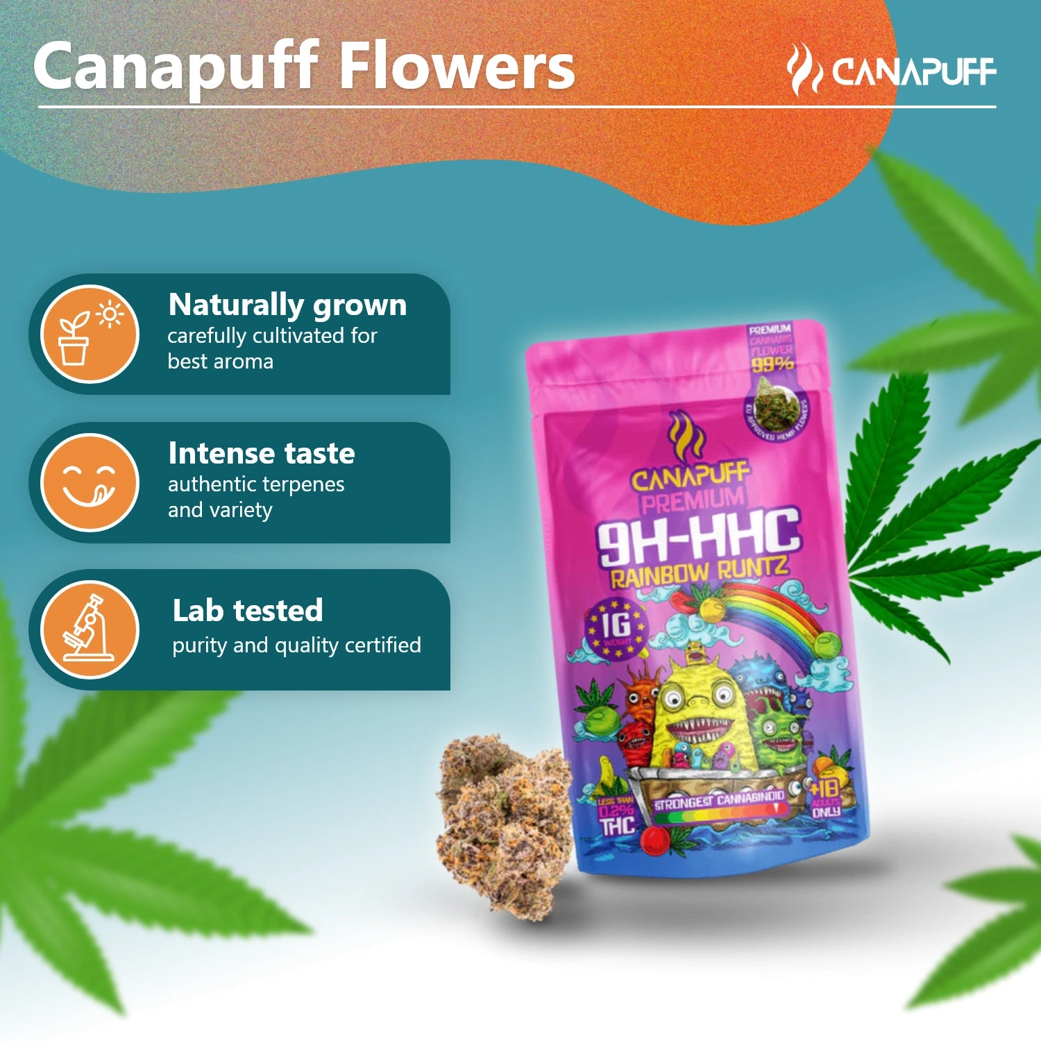 Canapuff - Rainbow Runtz 99% - Fleurs 10-OH-HHC