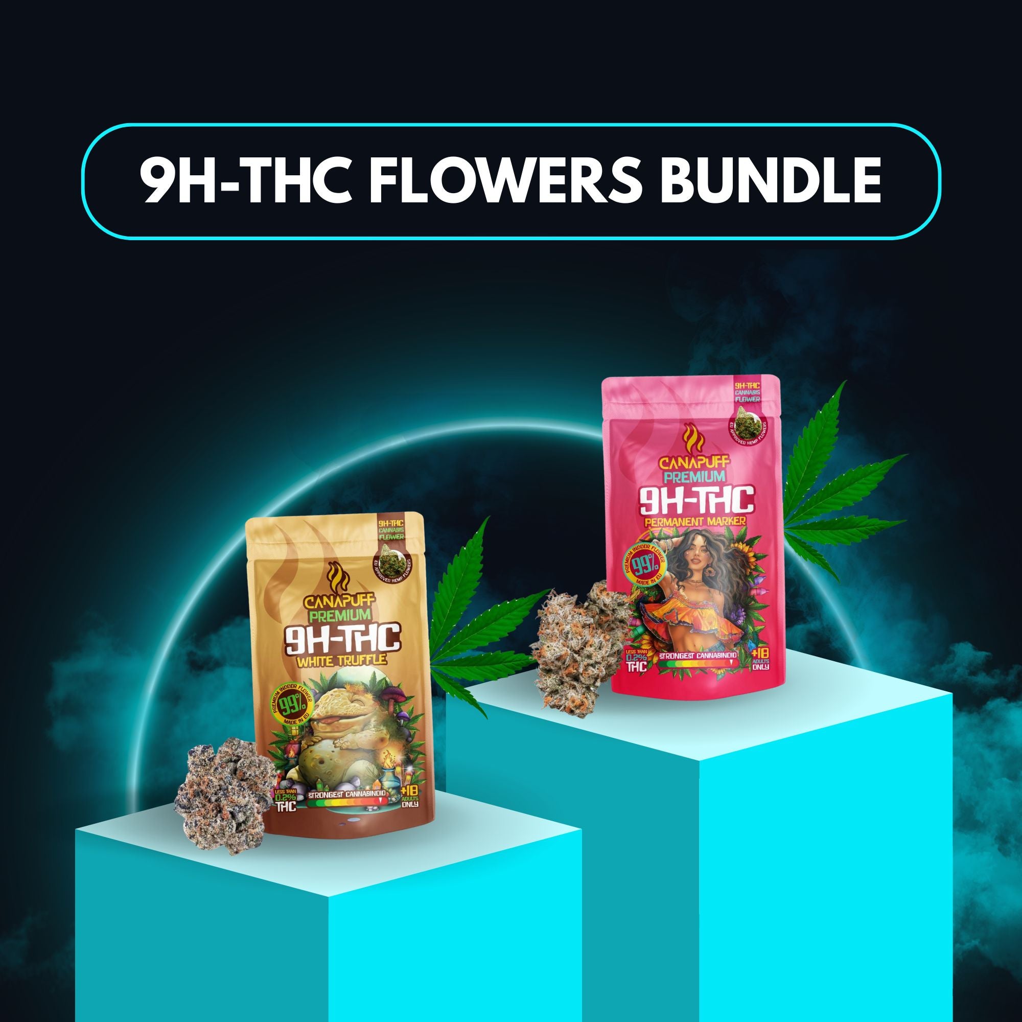 9H-THC Flowers Bundle (2x1g)