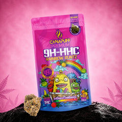 9H-HHC Cvjetovi Rainbow Runtz 99%