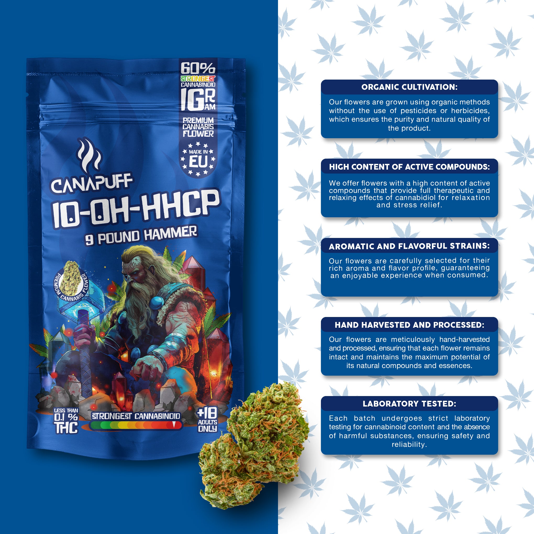 9 Pound Hammer 60% - 10-OH-HHCP Ανθοί