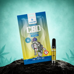 CBD Kasetė Recovery 95%