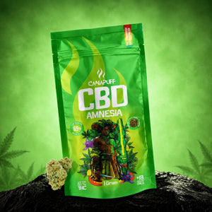 CBD Λουλούδια Amnesia 69%