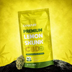 CBD Çiçekler Lemon Skunk 14%