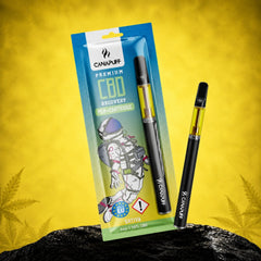 CBD Pen+Cartridges Recovery 95 %