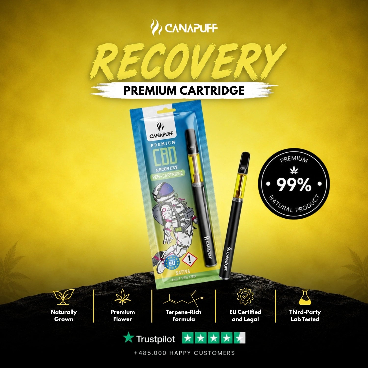 CBD Pen+Cartridge Recovery 95%
