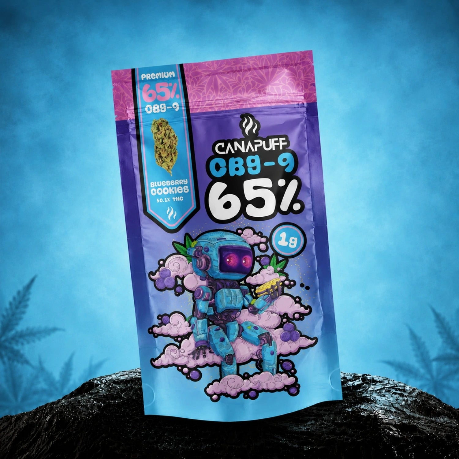 CBG9 Cvjetovi Blueberry Cookie 65%