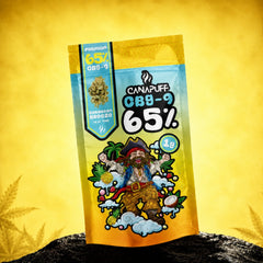 CBG9 Cvjetovi Caribbean Breeze 65%