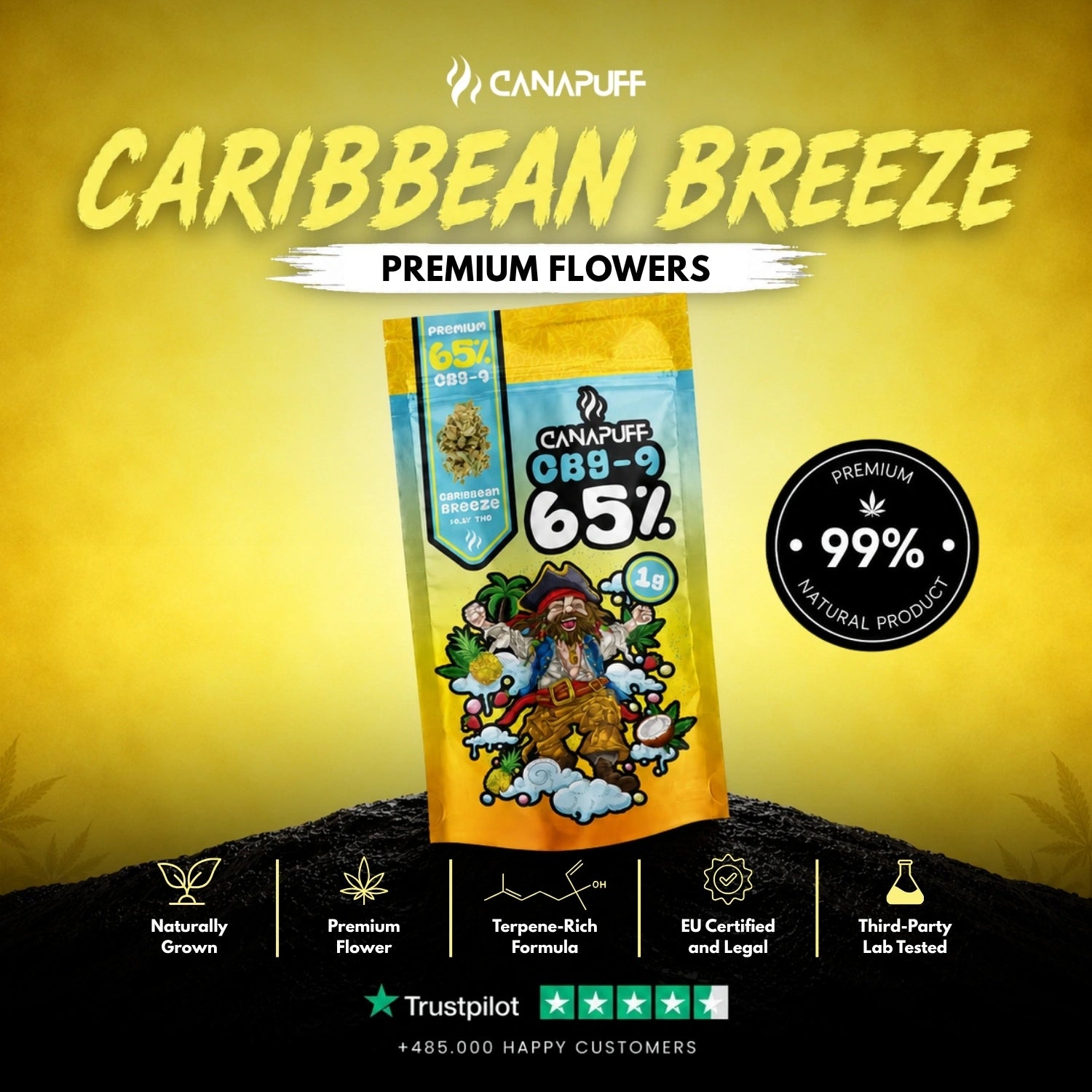 CBG9 Kwiaty Caribbean Breeze 65%