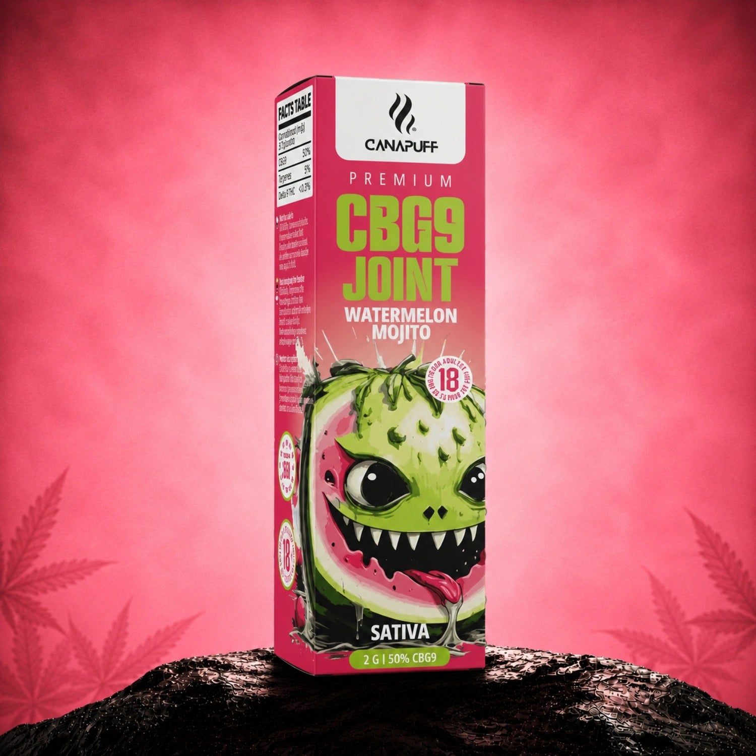 CBG9 Joint Watermelon Mojito 50% 2 г