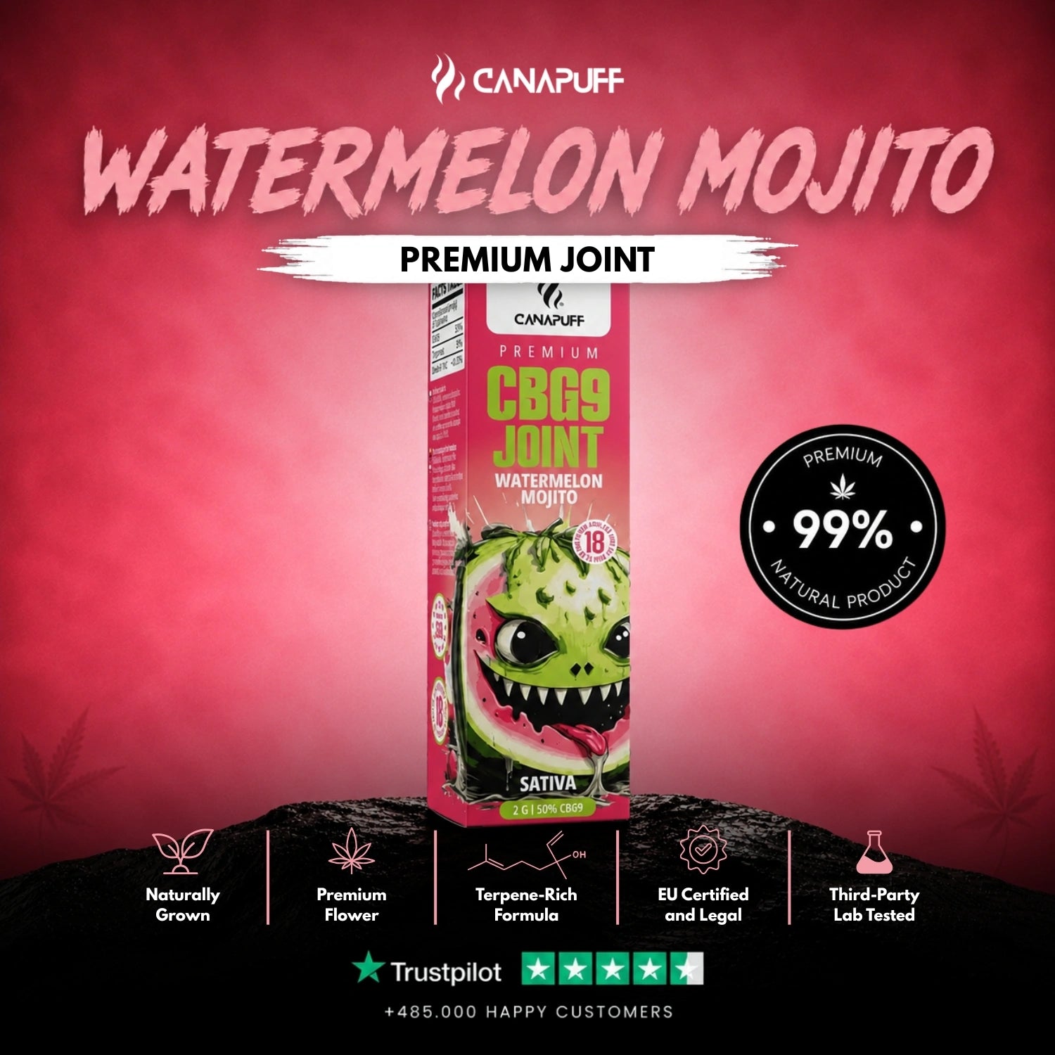 CBG9 Joint Watermelon Mojito 50% 2 g
