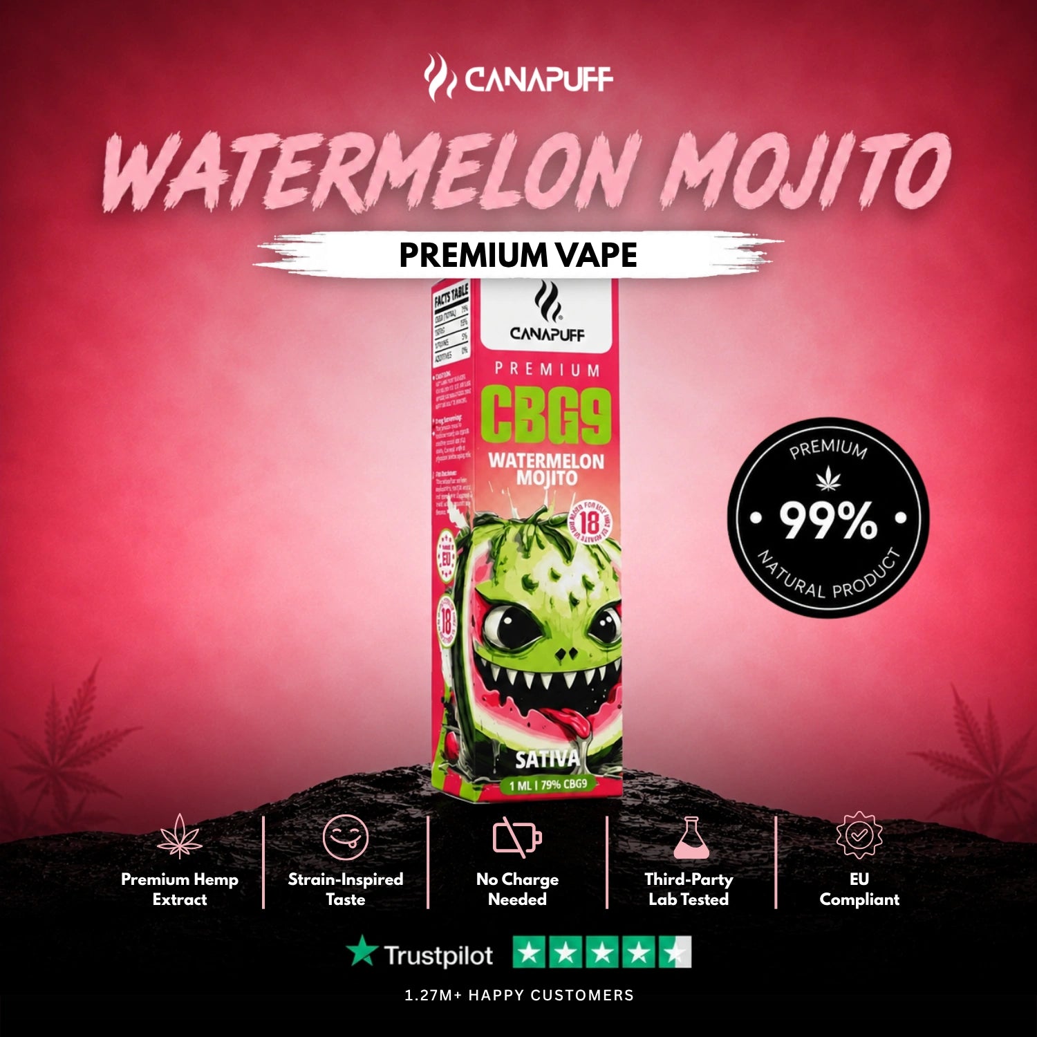 CBG9 Vape Watermelon Mojito 79% 1 мл