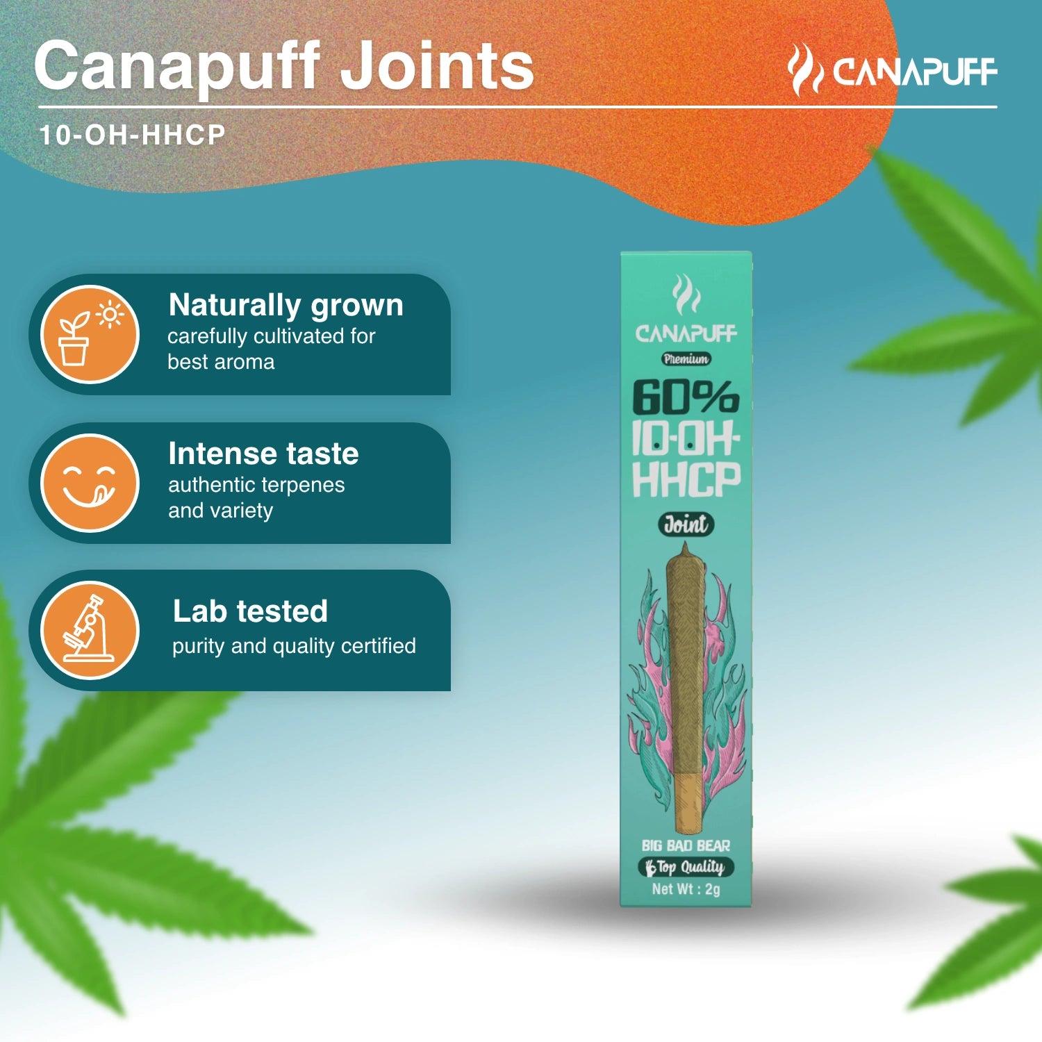 Big Bad Bear 60% 10-OH-HHCP Joint 2g - Canapuff