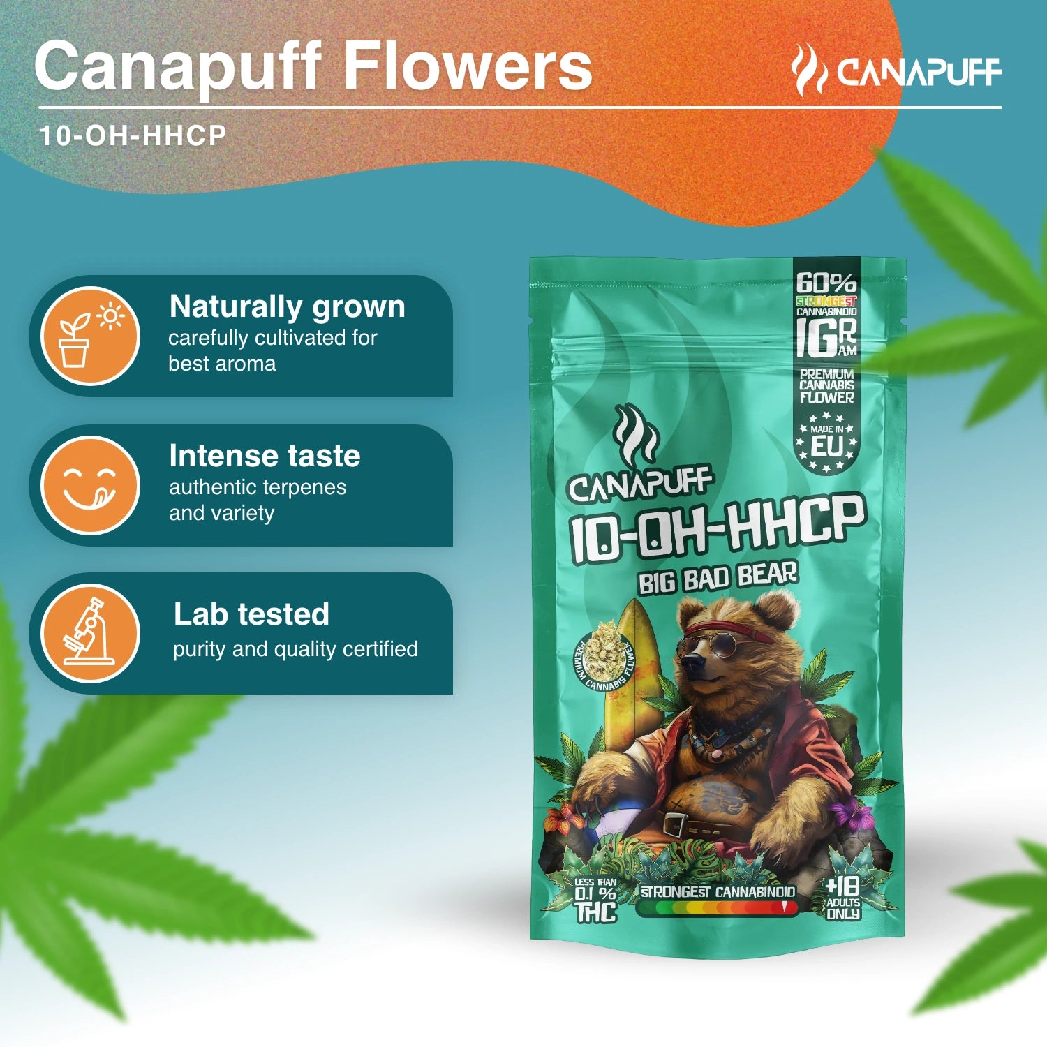 Big Bad Bear 60% - 10-OH-HHCP Flowers - Canapuff