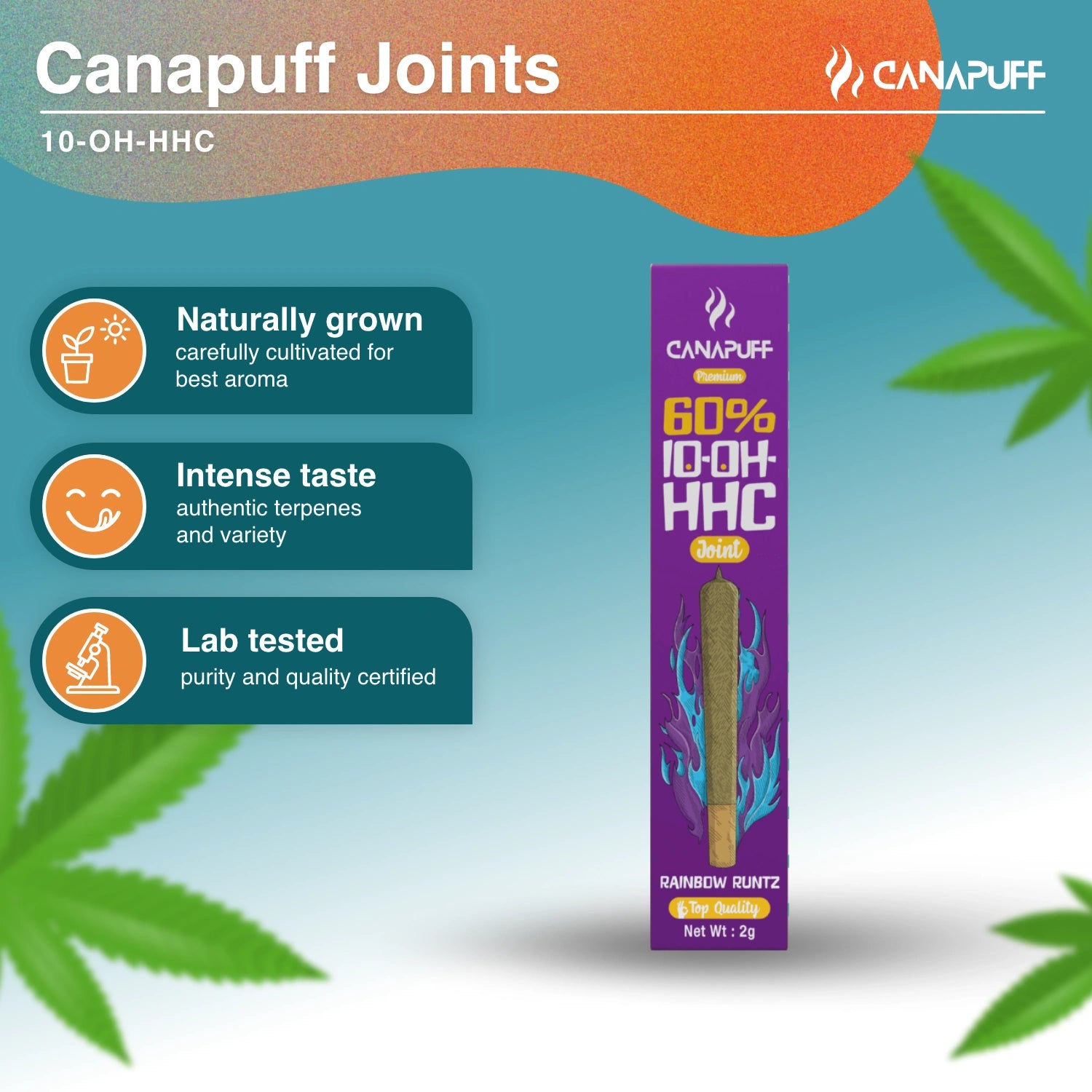 Rainbow Runtz 60% 10-OH-HHC Joint 2g - Canapuff
