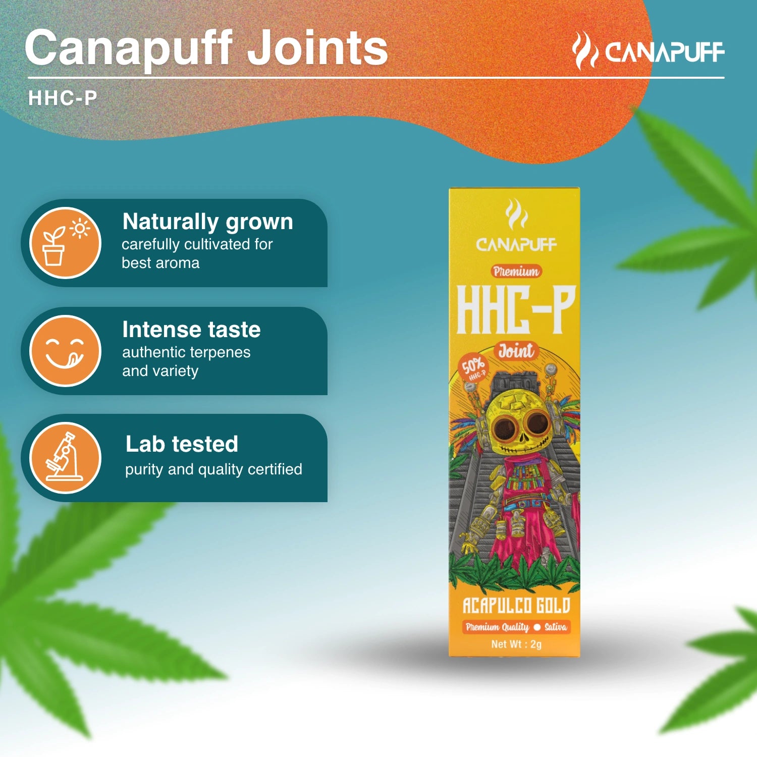 HHC-P Joint 50% Acapulco Gold - Canapuff