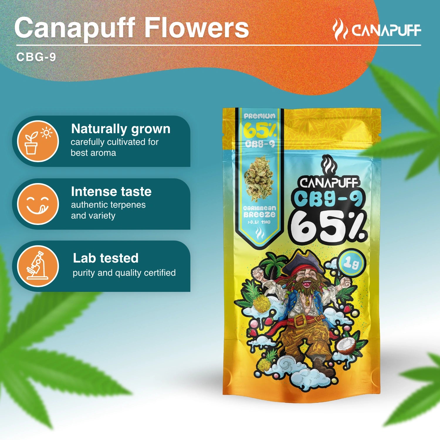 Caribbean Breeze 65% - CBG9 Flowers - Canapuff