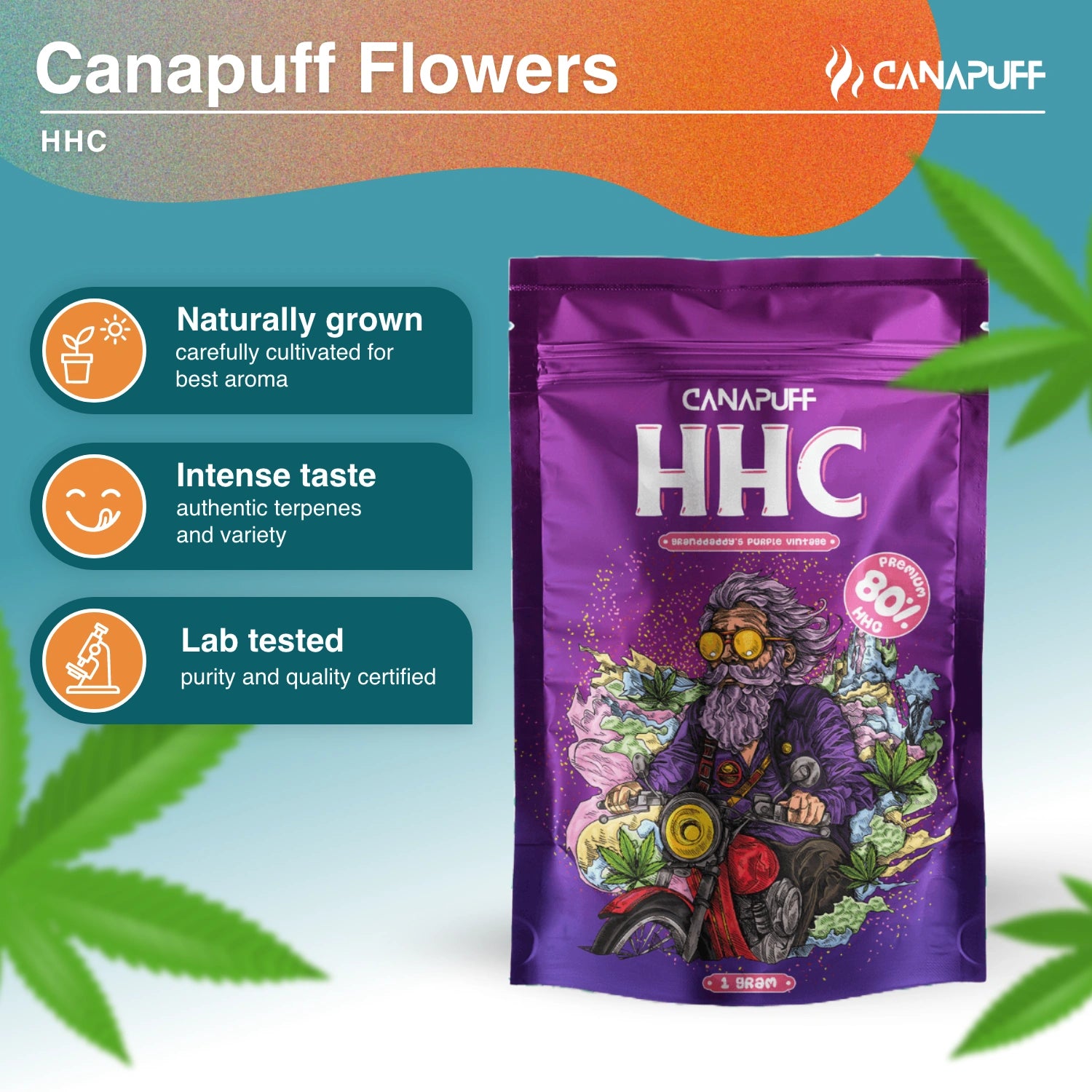 Grandaddy's Purple Vintage 80% - HHC Kwiaty - Canapuff