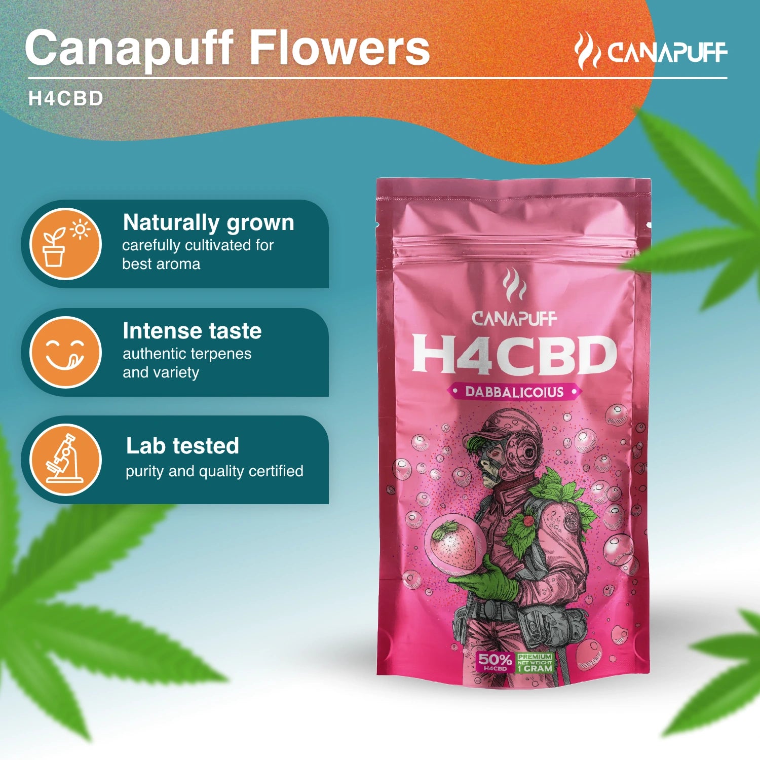 Dabbalicious 50% - H4CBD Kwiaty - Canapuff