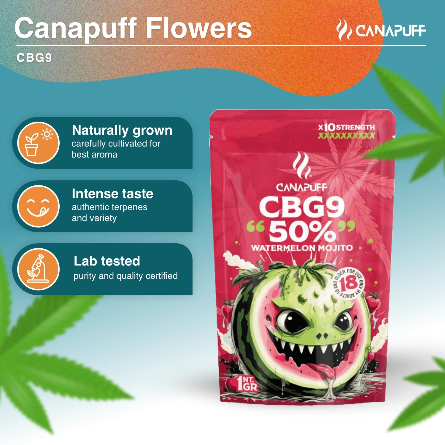 Watermelon Mojito 50% - CBG9 Flowers - Canapuff
