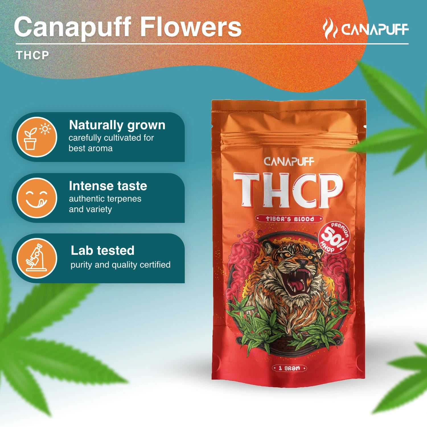 TIGER'S BLOOD 50% - THCp Kwiaty - Canapuff