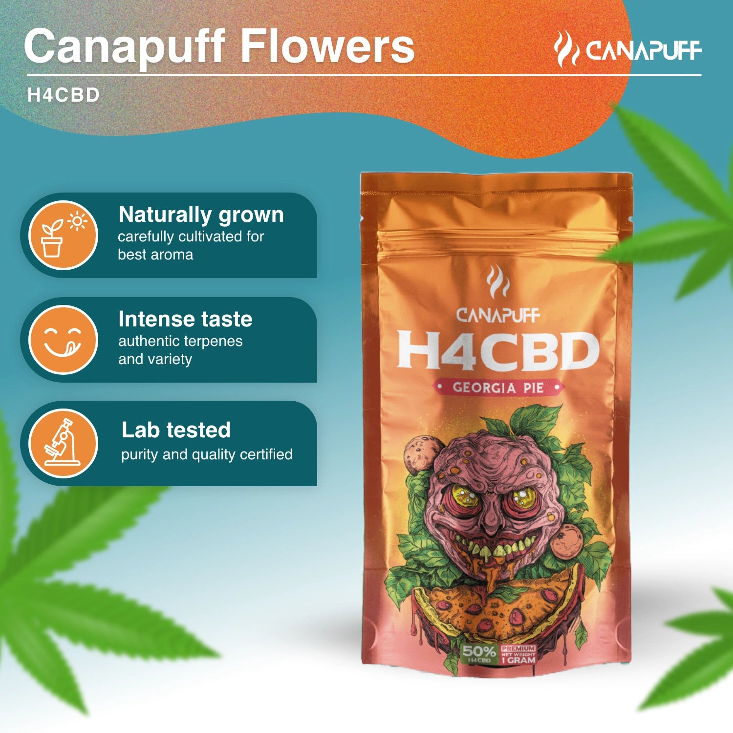 Georgia Pie 50% - H4CBD Kwiaty - Canapuff