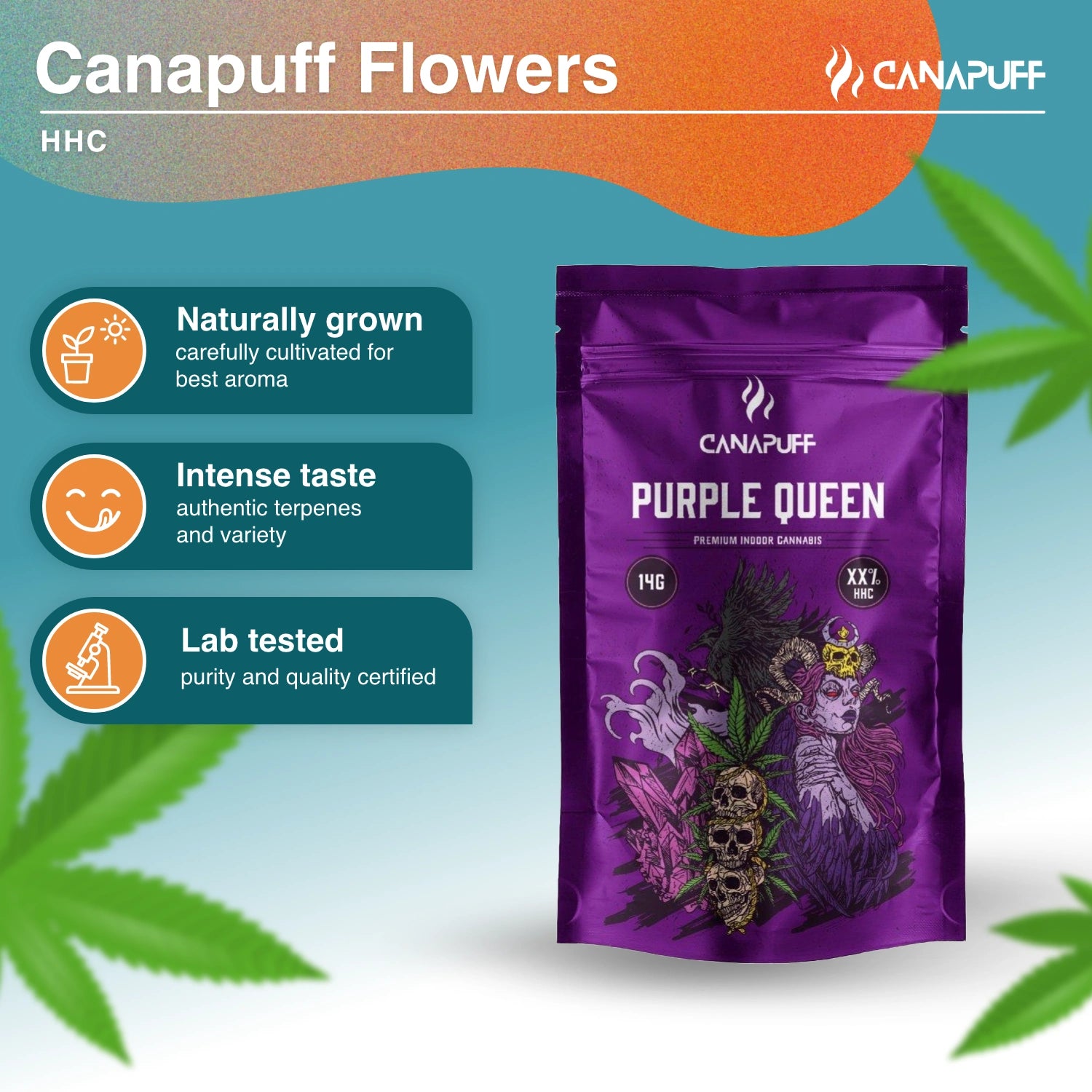 Purple Queen 40% - 10-OH-HHC Kwiaty - Canapuff