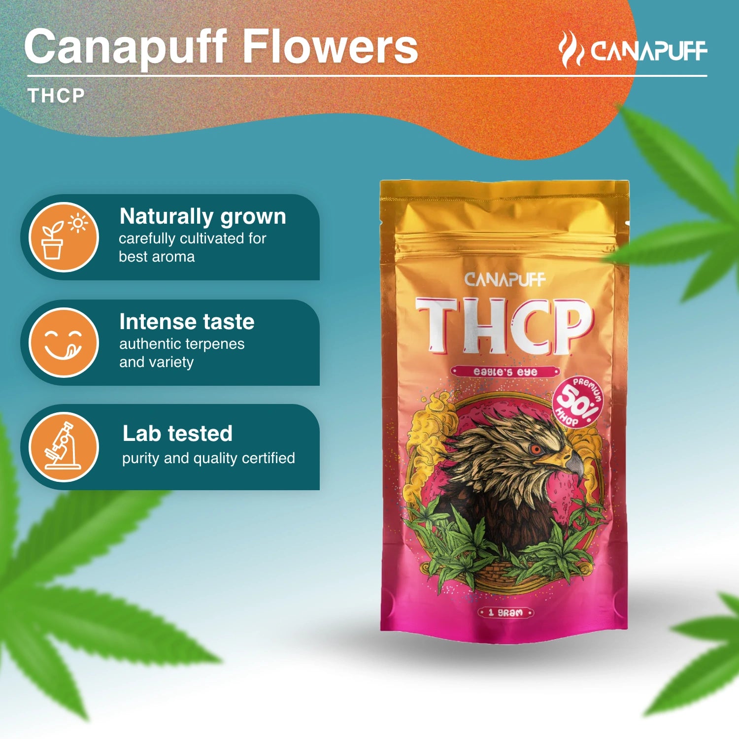EAGLE'S EYE 50% - THCp Kwiaty - Canapuff