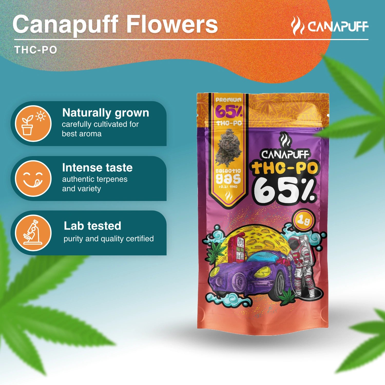 Galactic Gas 65% - THC-PO Kwiaty - Canapuff