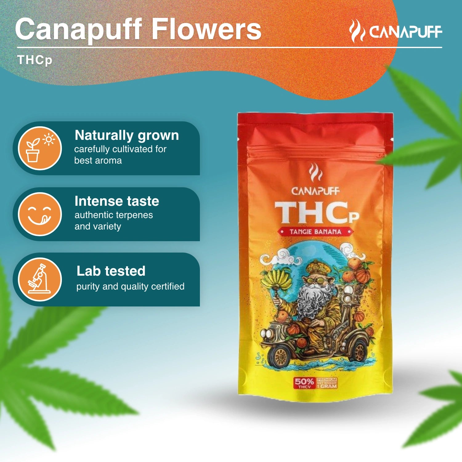 TANGIE BANANA 50% - THCp Kwiaty - Canapuff