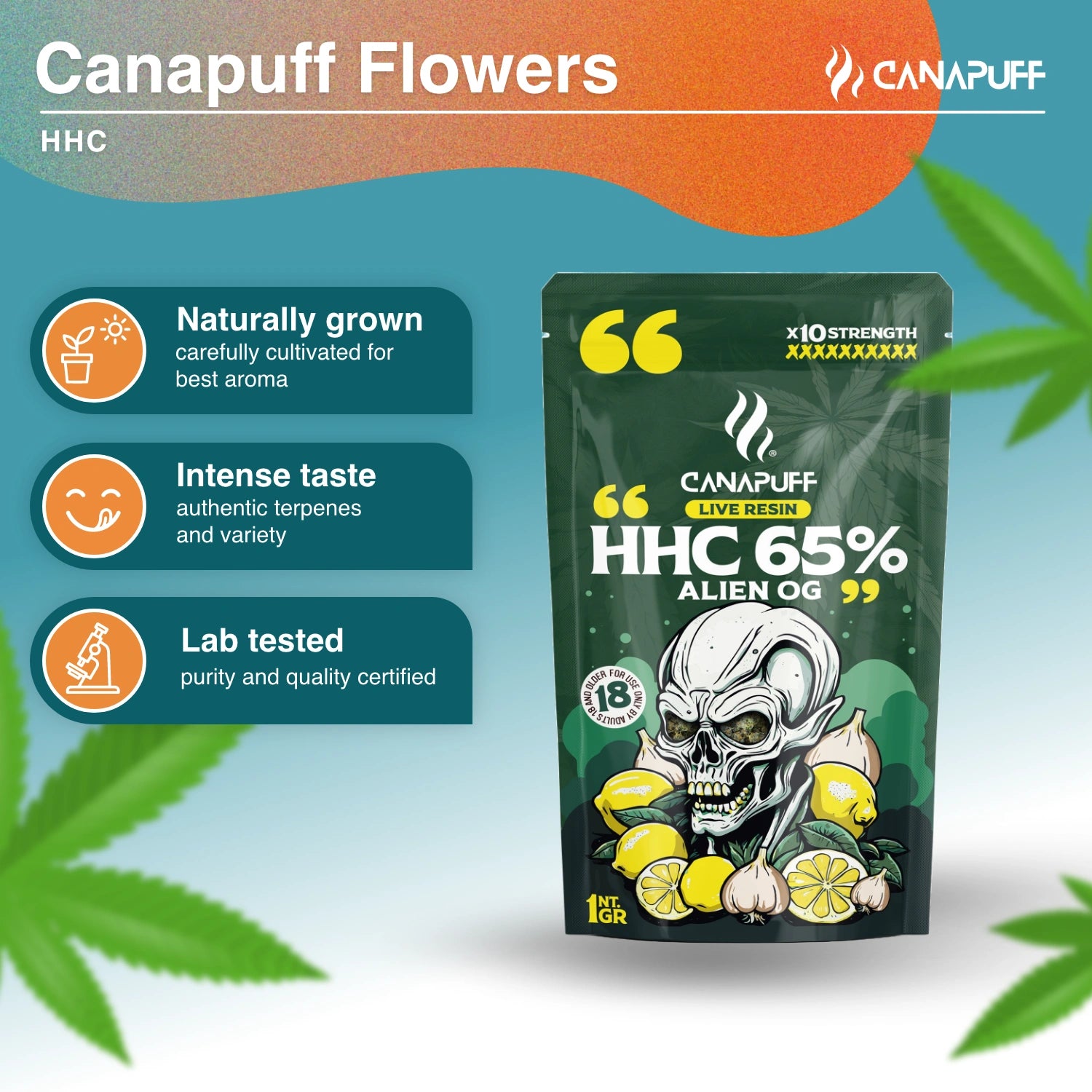 HHC Kwiaty Alien OG 65% - HHC Kwiaty - Canapuff