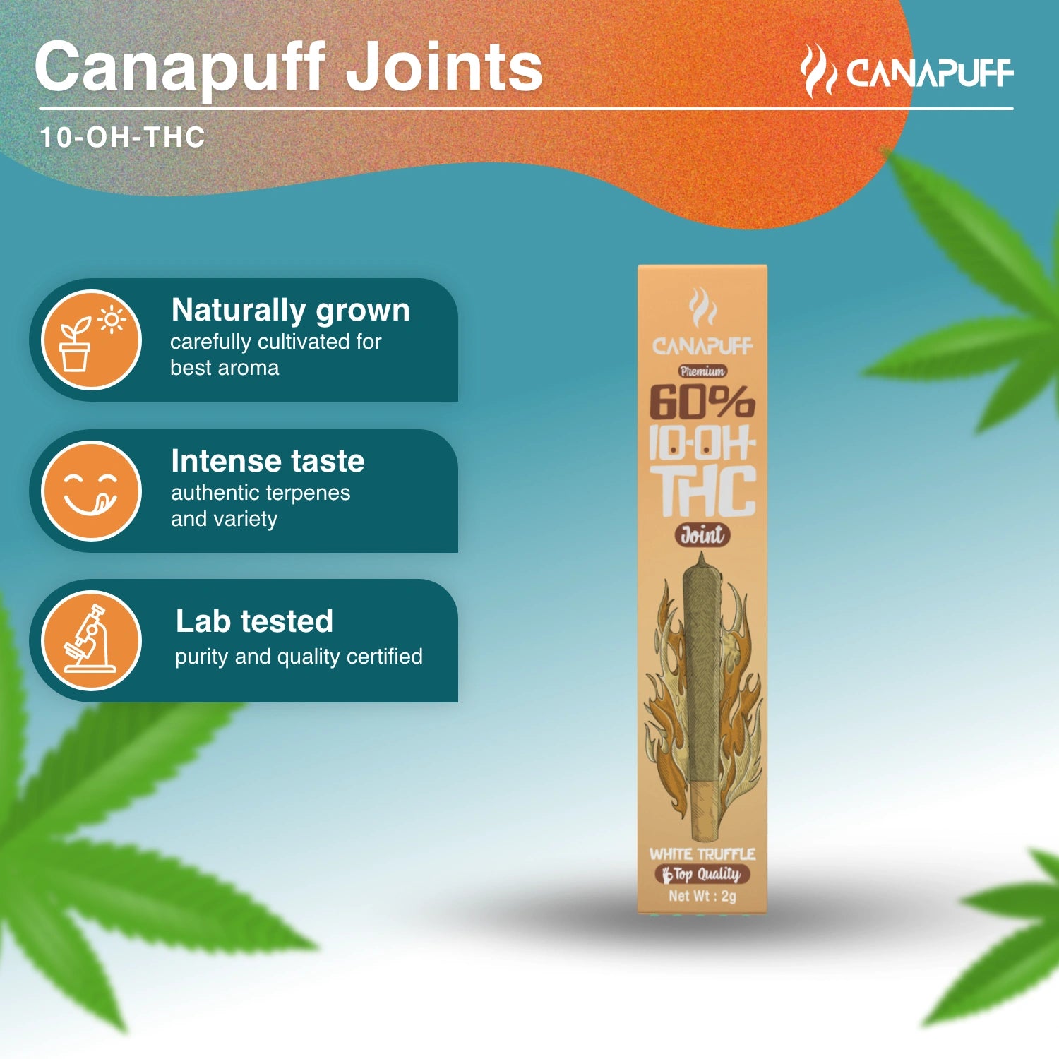 White Truffle 60% 10-OH-THC Joint 2g - Canapuff