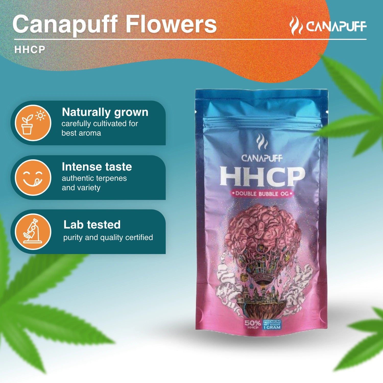 DOUBLE BUBBLE OG 50% - HHC-P Kwiaty - Canapuff