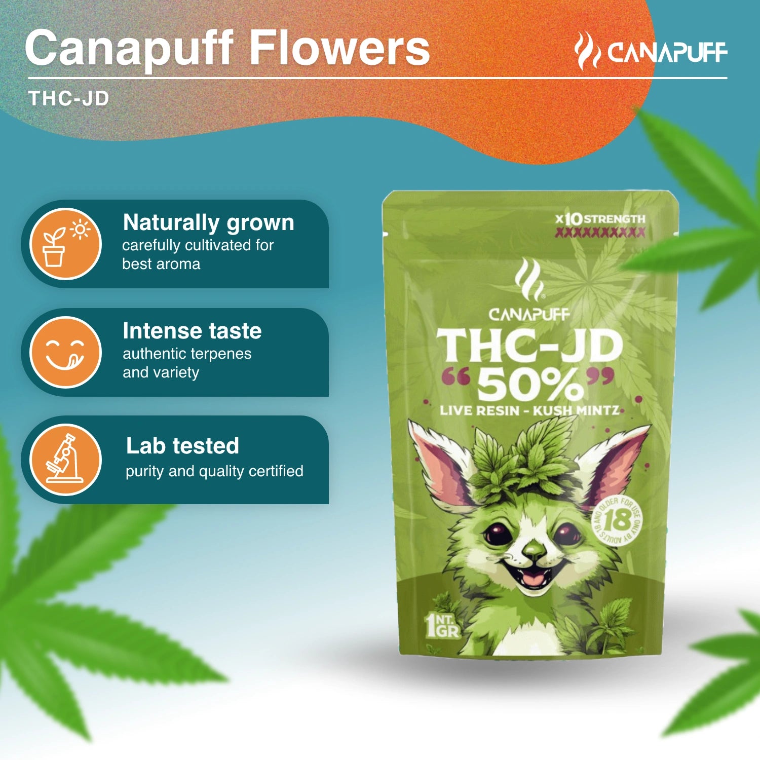 Kush Mintz 50% - THC-JD Flowers - Canapuff