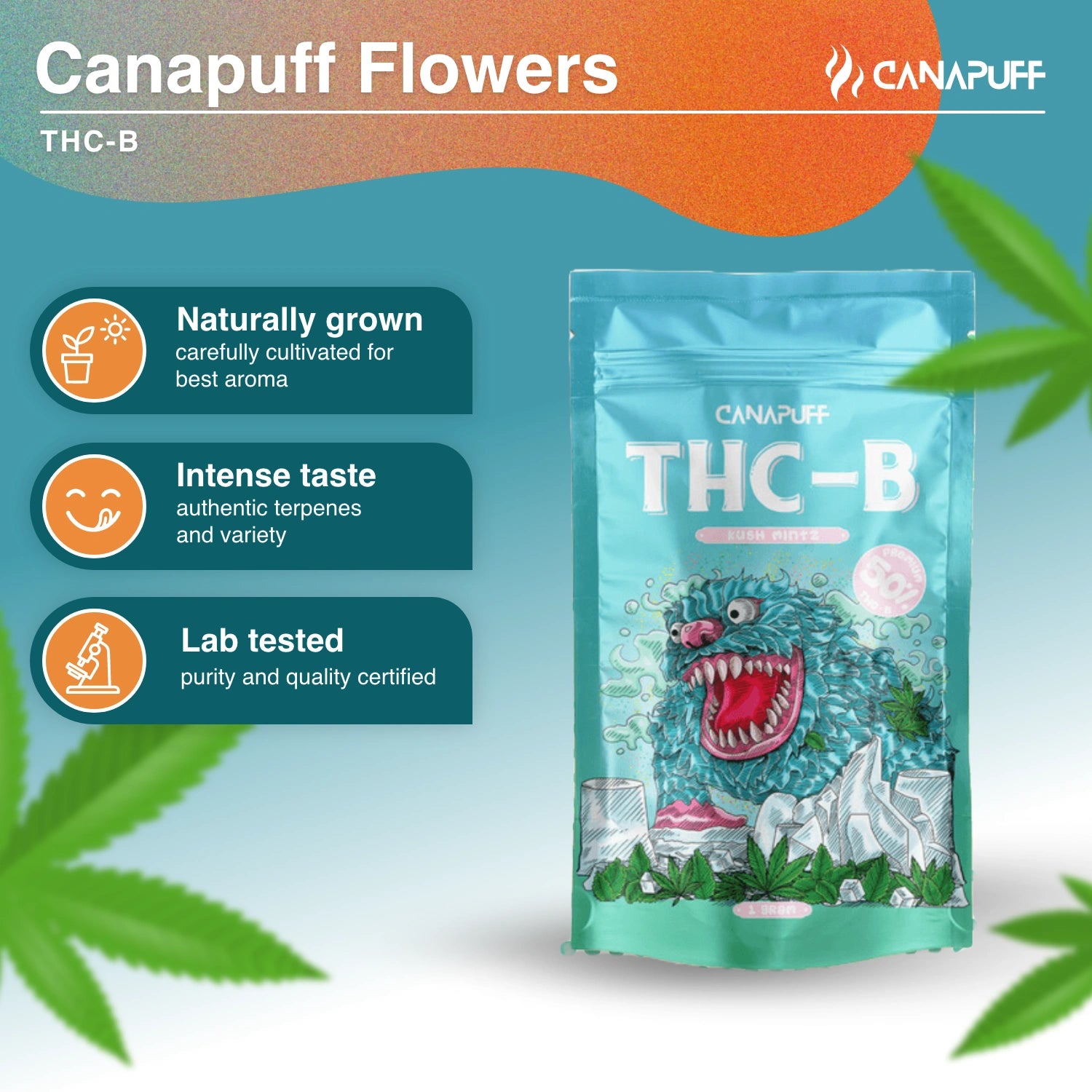 Kush Mintz 50% - THC-B Flowers - Canapuff